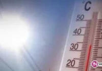 Uff, jak gorąco! Co wolno w pracy podczas upałów? - zdjęcie główne