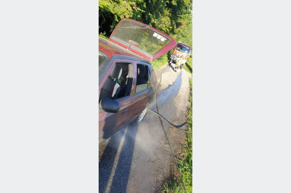 Samochód zapalił się w trakcie jazdy - zdjęcie 2