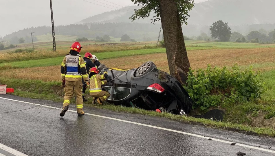 BMW wypadło z jezdni i uderzyło w drzewo. 23-latek ukarany - zdjęcie 1