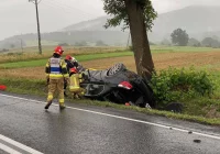 BMW wypadło z jezdni i uderzyło w drzewo. 23-latek ukarany - zdjęcie główne