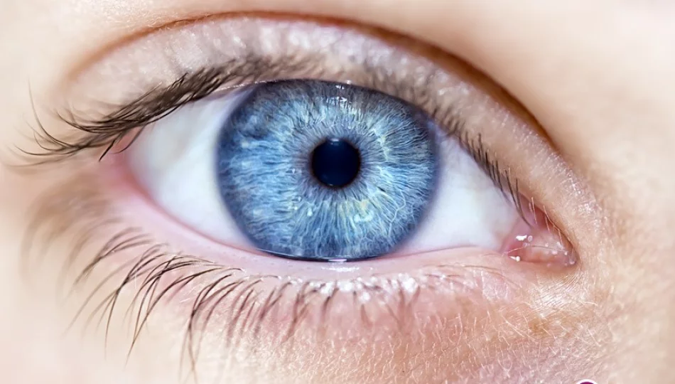 Badanie dna oka umożliwi wczesne wykrycie Alzheimera i Parkinsowa - zdjęcie 1