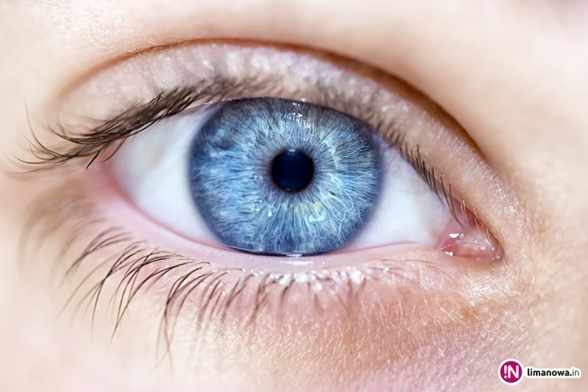 Badanie dna oka umożliwi wczesne wykrycie Alzheimera i Parkinsowa