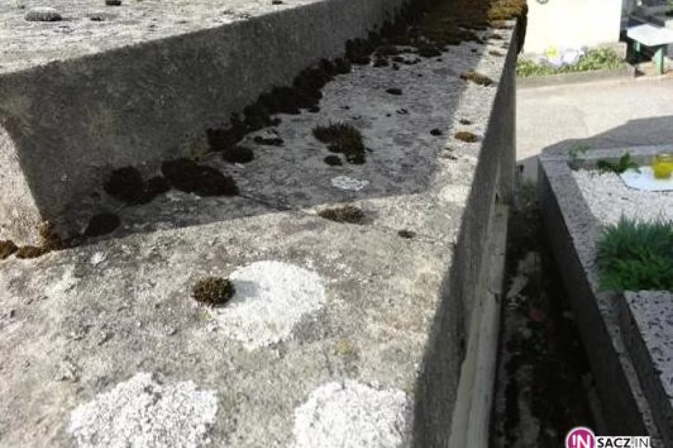 Nie będzie całkowitego dofinansowania na remont grobu księdza Ziemby - zdjęcie 3