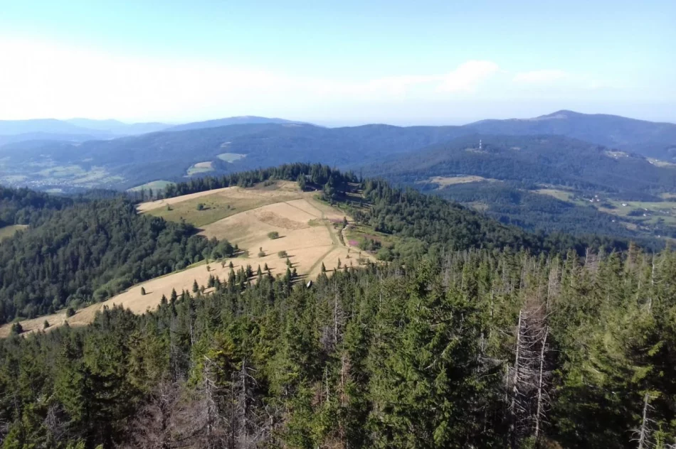 Szkolili się w górach - zdjęcie 6