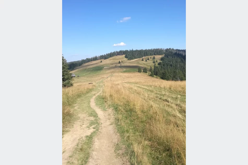 Szkolili się w górach - zdjęcie 8