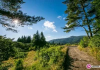 Nadchodzi fala upałów - najwyższy stopień zagrożenia - zdjęcie główne
