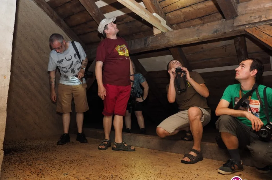 Naukowcy zbadali kolonie podkowca małego - zdjęcie 2