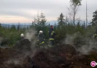 Pożar ściółki i powalonych drzew na Gorcu - zdjęcie główne