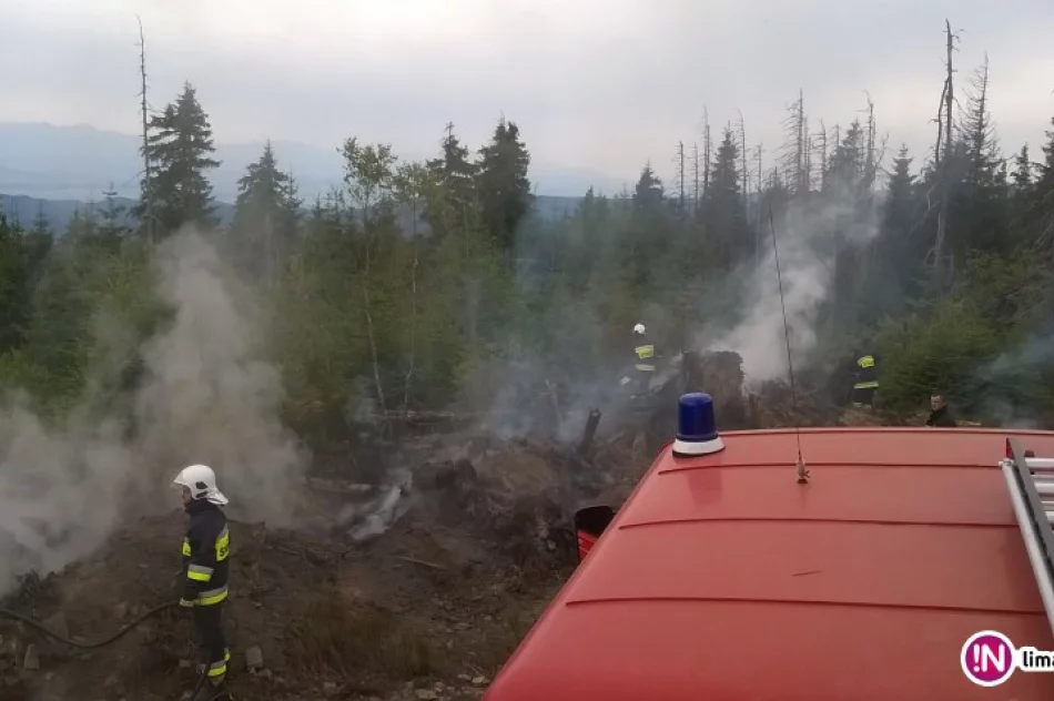 Pożar ściółki i powalonych drzew na Gorcu - zdjęcie 2
