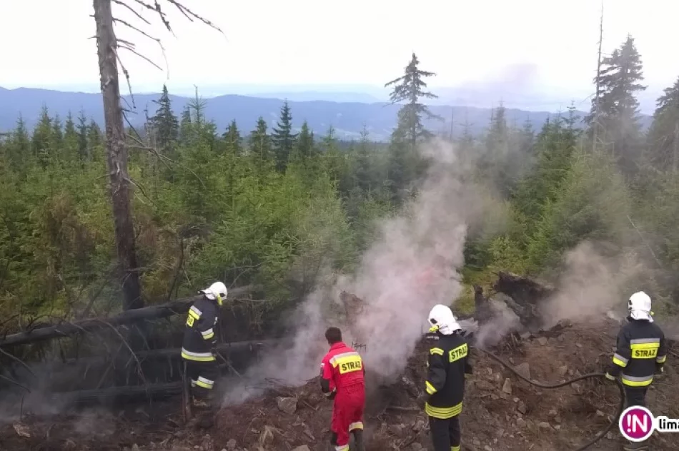 Pożar ściółki i powalonych drzew na Gorcu - zdjęcie 3
