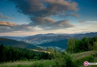 Decyzja o podziale zaskoczeniem, mogą być naśladowcy - zdjęcie główne