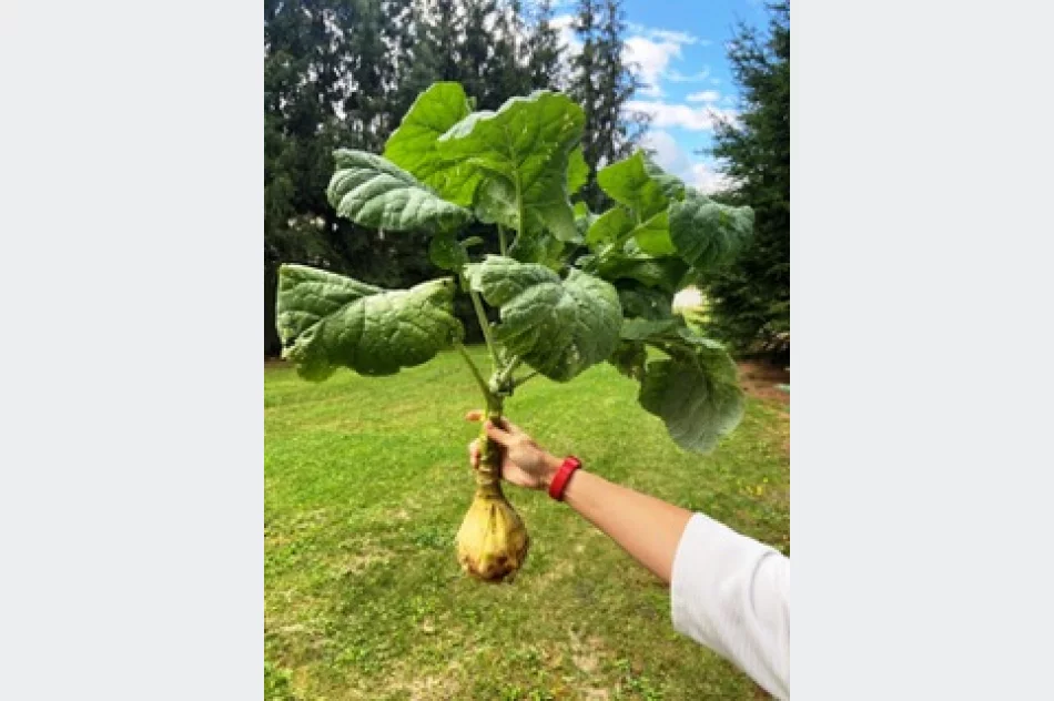 Zagórzański stół pełen wyjątkowych smaków - zdjęcie 4