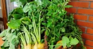 Zagórzański stół pełen wyjątkowych smaków - zdjęcie 5