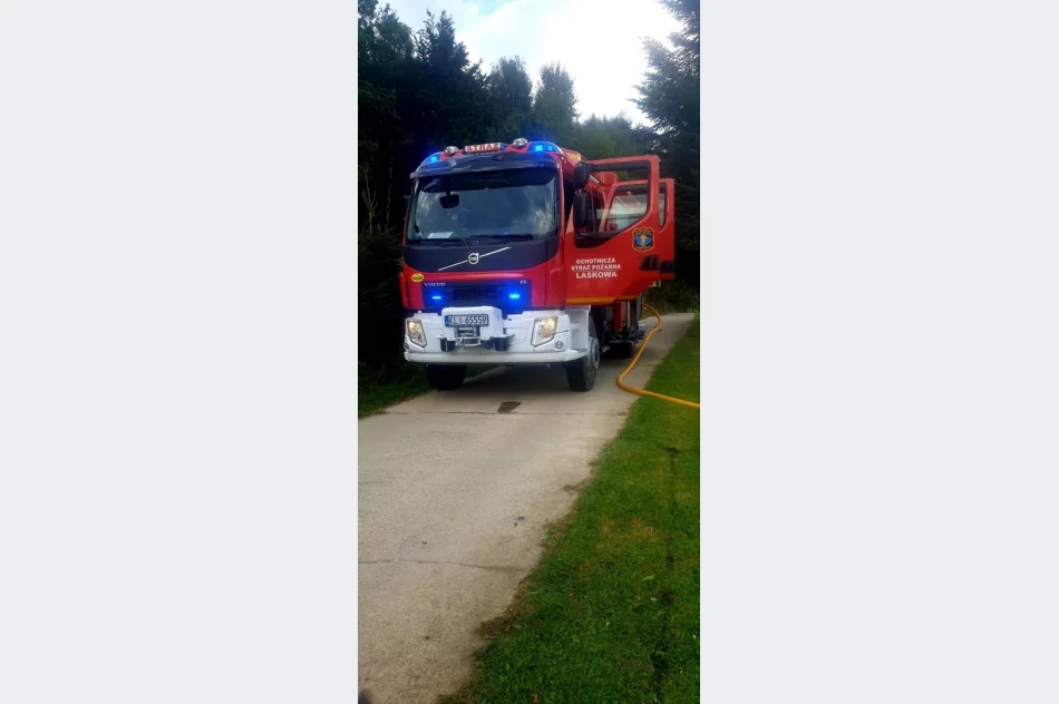 Zapalił się samochód osobowy - zdjęcie 3