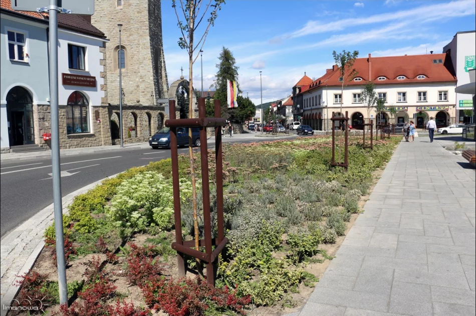NOWOCZESNY I FUNKCJONALNY RYNEK – TĘTNI ŻYCIEM - zdjęcie 12