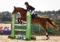 Weronika Jagoda Mistrzynią Województwa Małopolskiego - zdjęcie główne