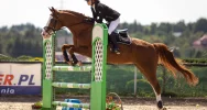 Weronika Jagoda Mistrzynią Województwa Małopolskiego - zdjęcie 3