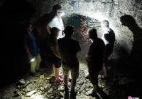 Liczą nietoperze i sprawdzają stan ich stanowisk - zdjęcie główne