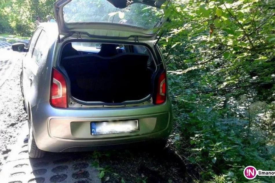 Auto stoczyło się i zawisło nad potokiem - zdjęcie 2