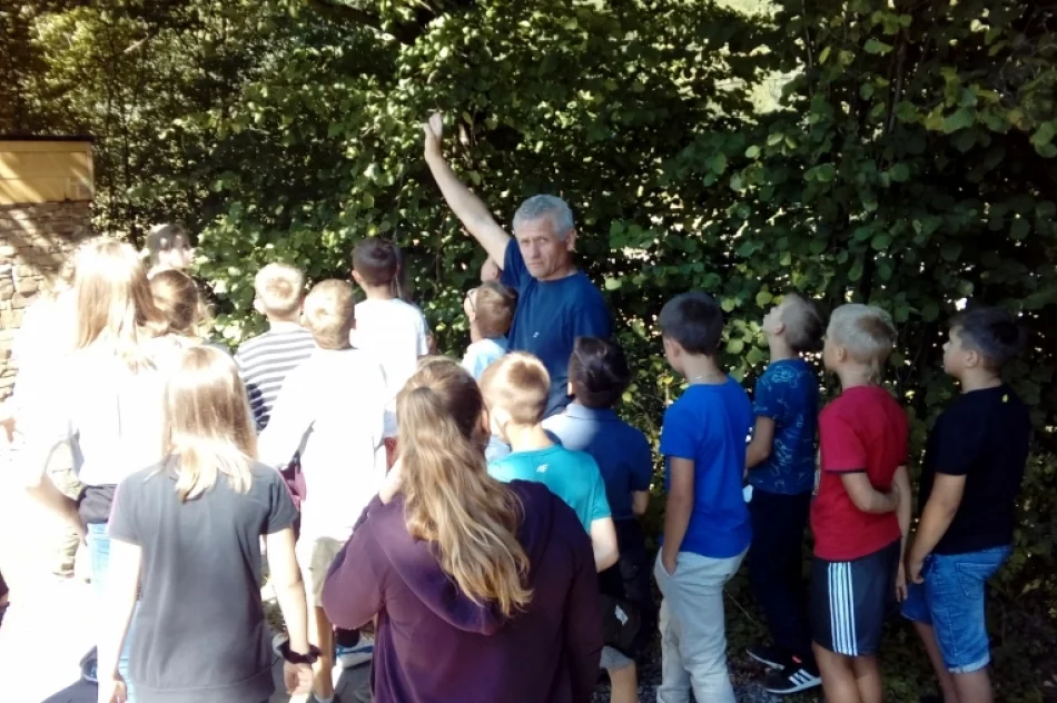 Od kwiatowego koszyka do miodu słoika - zdjęcie 3