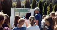 Od kwiatowego koszyka do miodu słoika - zdjęcie 5