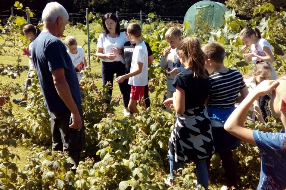 Od kwiatowego koszyka do miodu słoika - zdjęcie 6