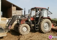 Będą premie 100 tys. zł dla młodych rolników - zdjęcie główne