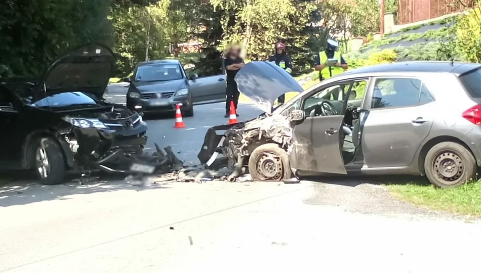 Czołowe zderzenie na drodze gminnej. Jedna osoba trafiła do szpitala - zdjęcie 1