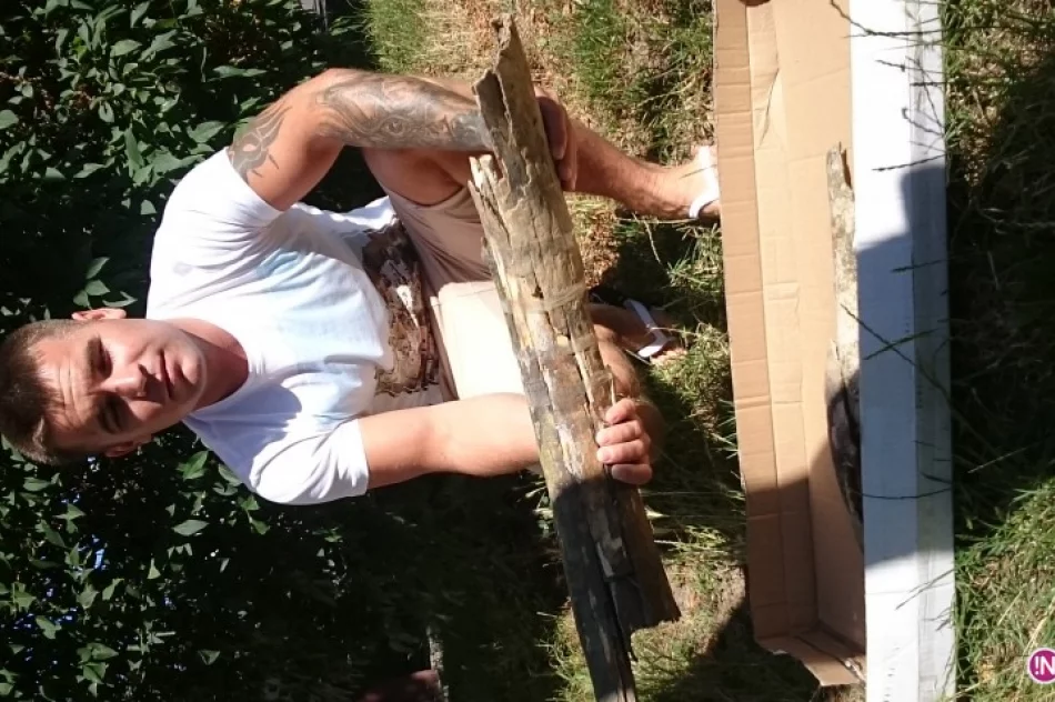 W Przydonicy natrafiono na ślady mamuta - zdjęcie 2