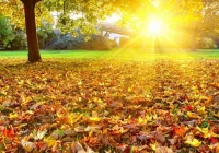 Tegoroczny wrzesień jest cały czas najcieplejszy od ponad 100 lat - zdjęcie główne