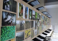 Wyniki V edycji Konkursu Fotograficznego „W 365 dni dookoła Gminy Limanowa” - zdjęcie główne