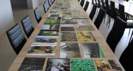 Wyniki V edycji Konkursu Fotograficznego „W 365 dni dookoła Gminy Limanowa” - zdjęcie 4