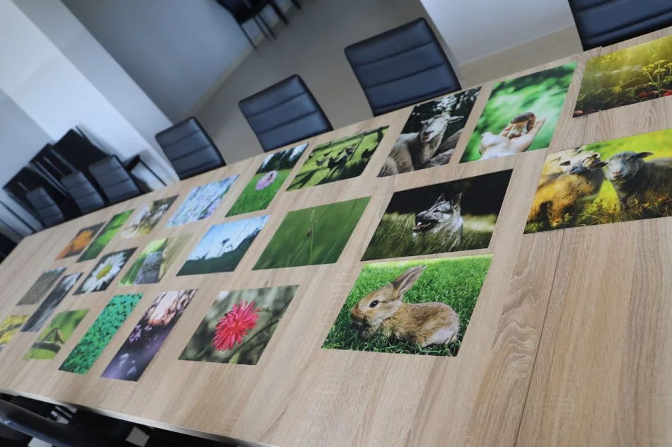 Wyniki V edycji Konkursu Fotograficznego „W 365 dni dookoła Gminy Limanowa” - zdjęcie 10