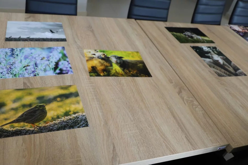 Wyniki V edycji Konkursu Fotograficznego „W 365 dni dookoła Gminy Limanowa” - zdjęcie 14