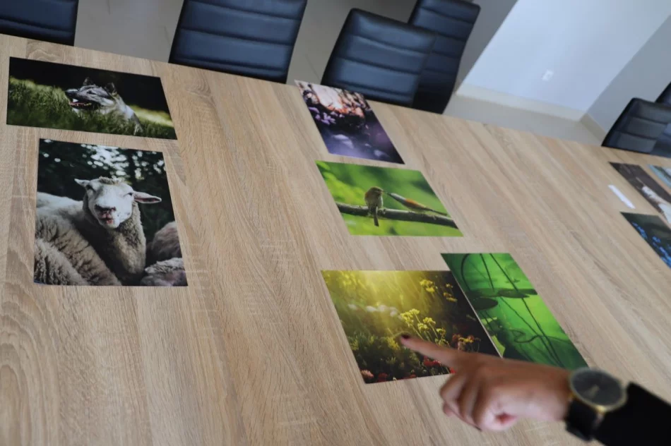 Wyniki V edycji Konkursu Fotograficznego „W 365 dni dookoła Gminy Limanowa” - zdjęcie 15