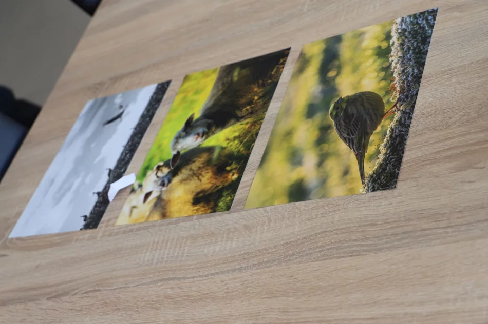 Wyniki V edycji Konkursu Fotograficznego „W 365 dni dookoła Gminy Limanowa” - zdjęcie 18