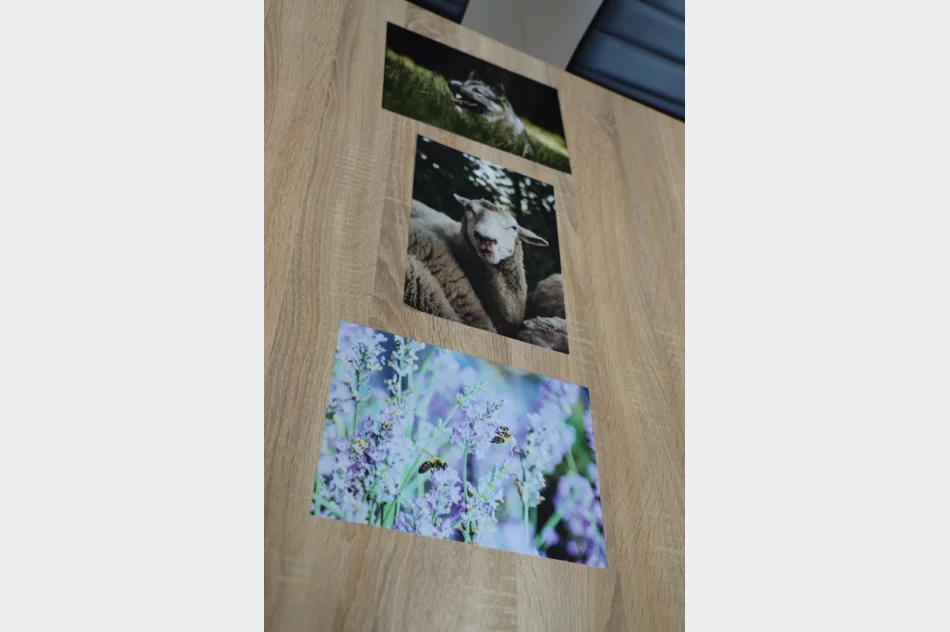 Wyniki V edycji Konkursu Fotograficznego „W 365 dni dookoła Gminy Limanowa” - zdjęcie 19