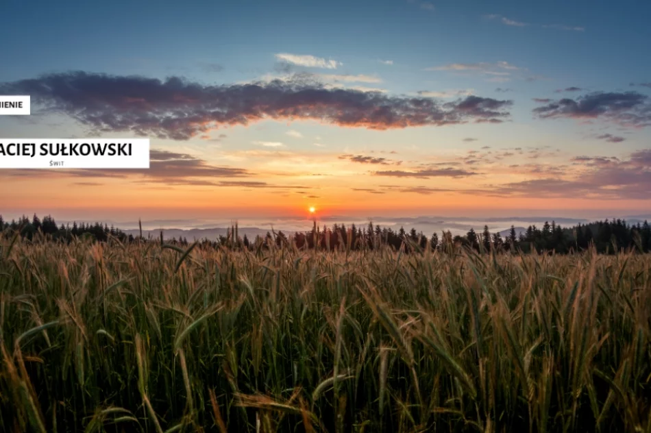 Spośród 120 fotografii wybrano te najlepsze - doroczny konkurs rozstrzygnięty - zdjęcie 2