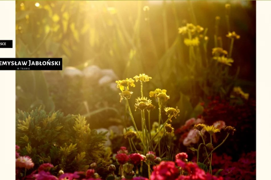 Spośród 120 fotografii wybrano te najlepsze - doroczny konkurs rozstrzygnięty - zdjęcie 4