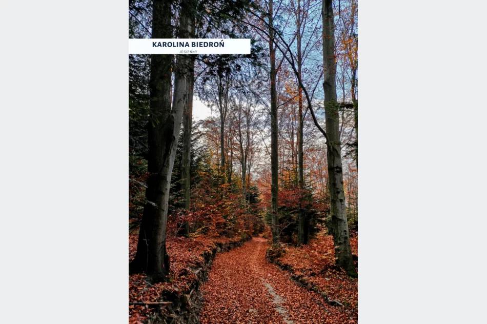 Spośród 120 fotografii wybrano te najlepsze - doroczny konkurs rozstrzygnięty - zdjęcie 6