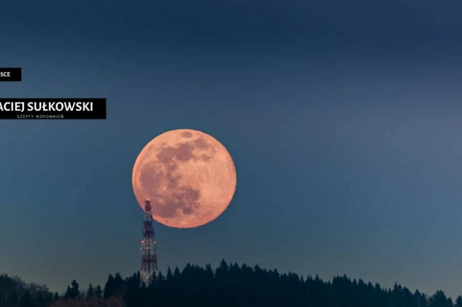 Spośród 120 fotografii wybrano te najlepsze - doroczny konkurs rozstrzygnięty - zdjęcie 7