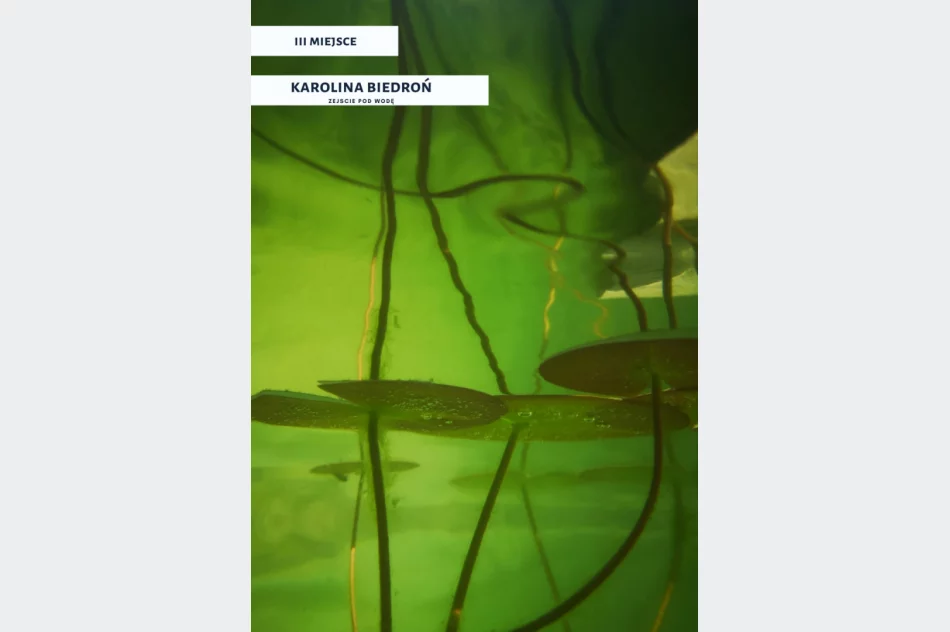 Spośród 120 fotografii wybrano te najlepsze - doroczny konkurs rozstrzygnięty - zdjęcie 10