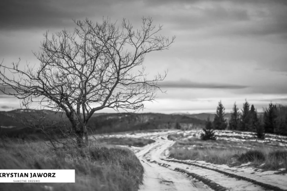 Spośród 120 fotografii wybrano te najlepsze - doroczny konkurs rozstrzygnięty - zdjęcie 11