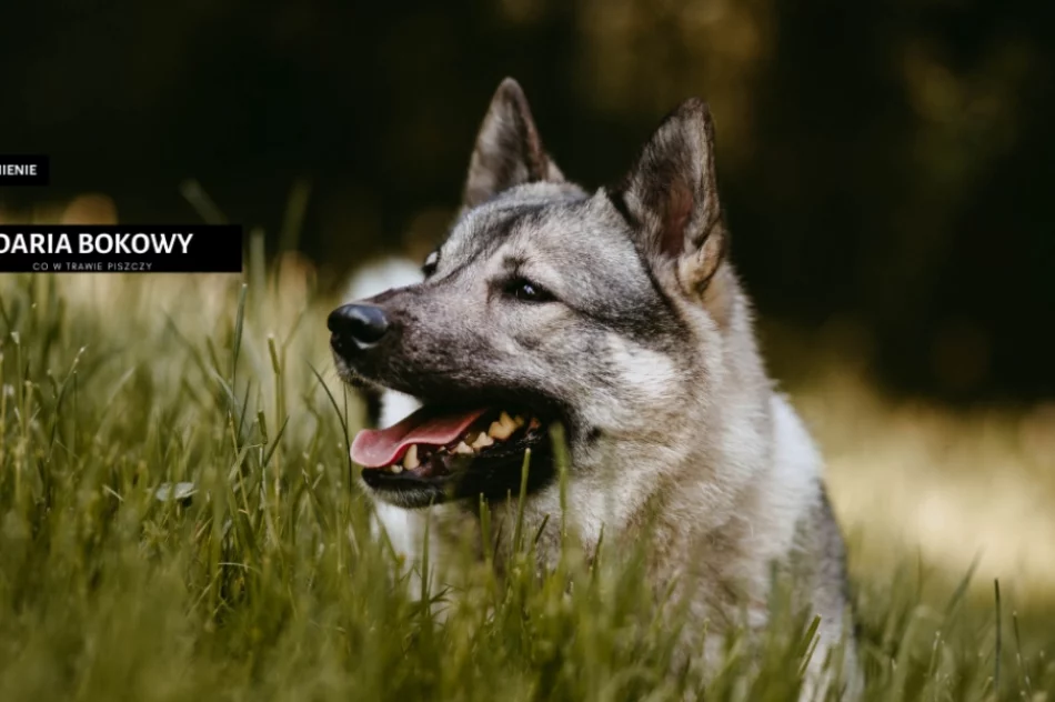 Spośród 120 fotografii wybrano te najlepsze - doroczny konkurs rozstrzygnięty - zdjęcie 15