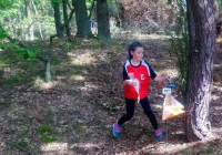 Cztery medal Mistrzostw Polski: złoto dla Julity Mordarskiej. - zdjęcie główne