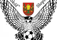 AP Wisła Kraków sprawdzi zawodnika Sokoła Słopnice - zdjęcie główne