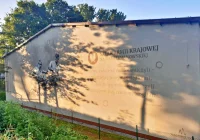 Wyjątkowy mural na szkolnym budynku - zdjęcie główne
