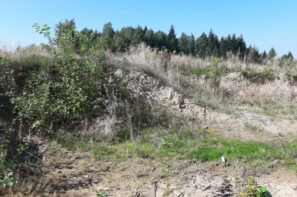 Ruszy przebudowa boiska w Starym Rybiu w ramach projektu Małopolska Infrastruktura Sportowa - zdjęcie 6