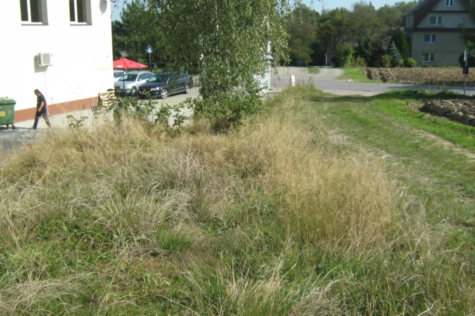 Ruszy przebudowa boiska w Starym Rybiu w ramach projektu Małopolska Infrastruktura Sportowa - zdjęcie 10