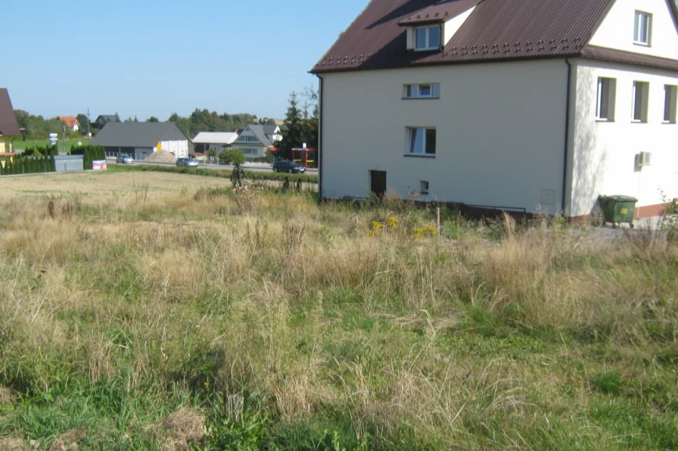 Ruszy przebudowa boiska w Starym Rybiu w ramach projektu Małopolska Infrastruktura Sportowa - zdjęcie 13